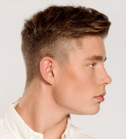 Buzzed Sides Long Top Haircut for Guys