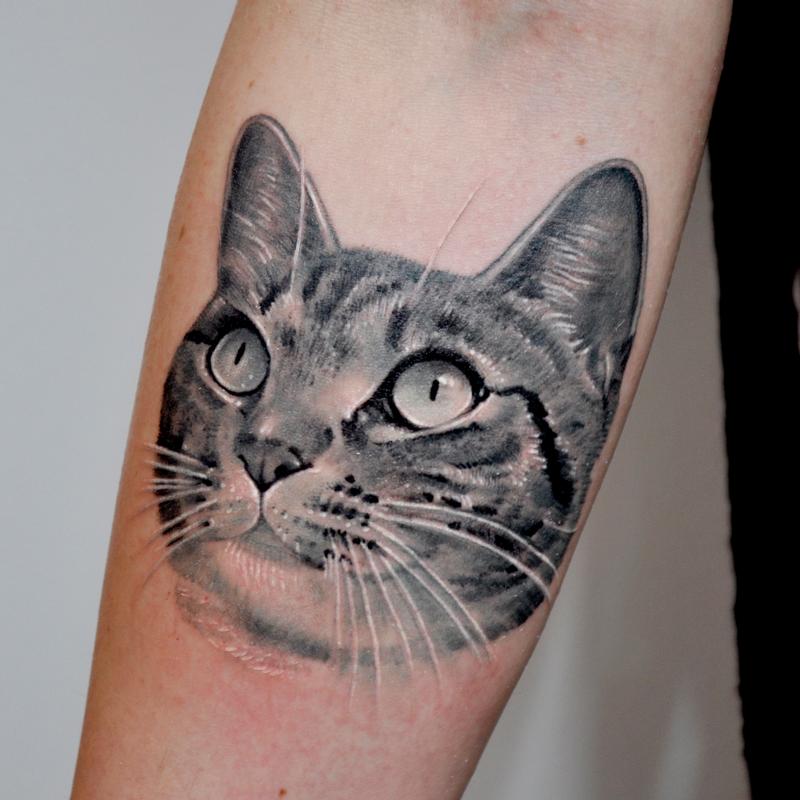  cat tattoo portrait