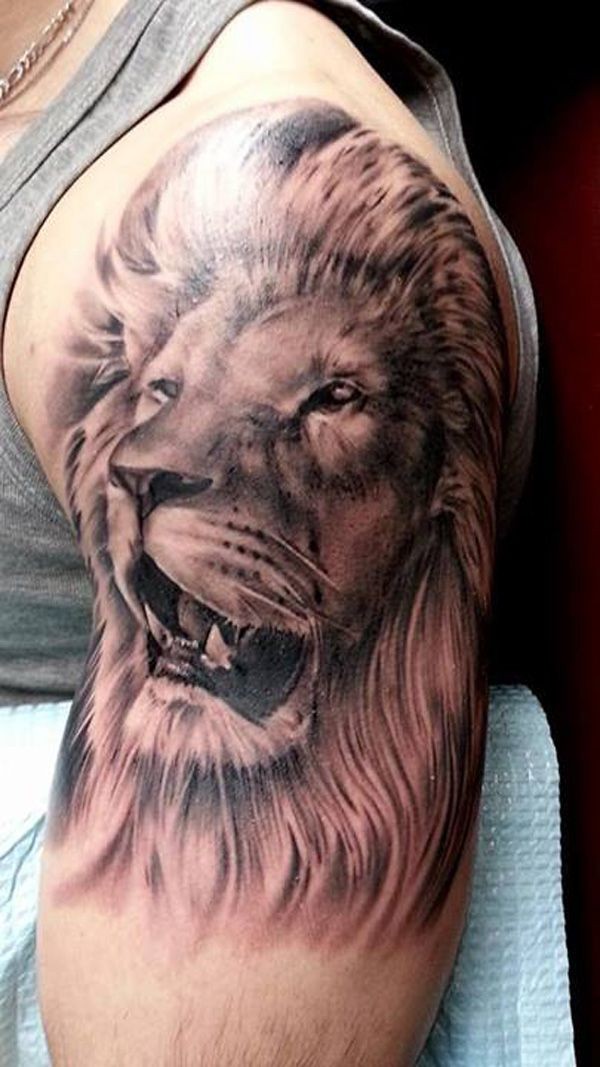  realistic lion tattoo