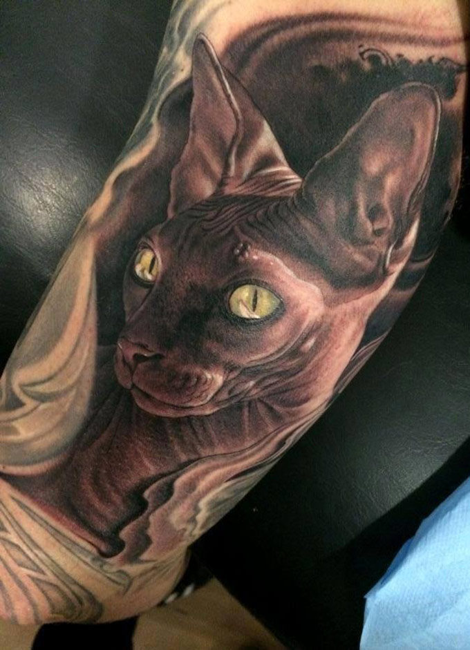  sphynx cat tattoo