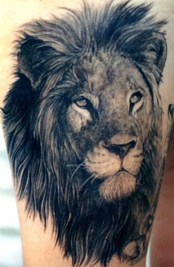  lion leg tattoos
