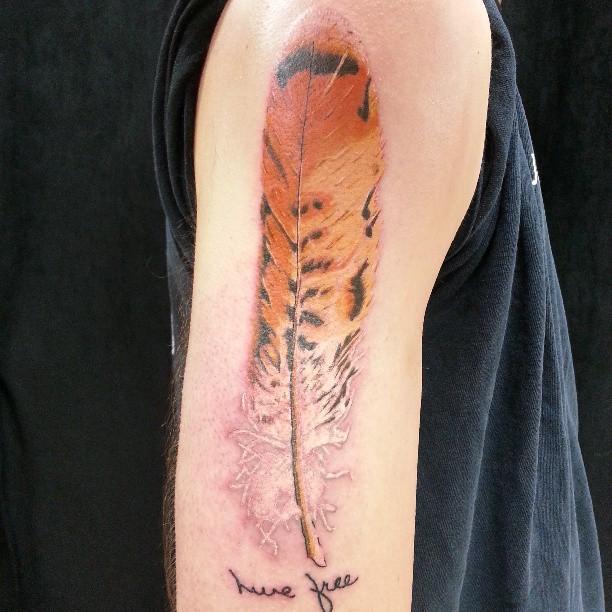 hawk feather tattoo