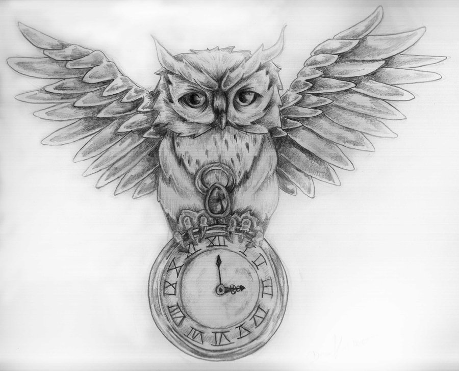  owl tattoo sketch