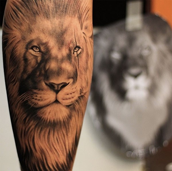  lion tattoo leg