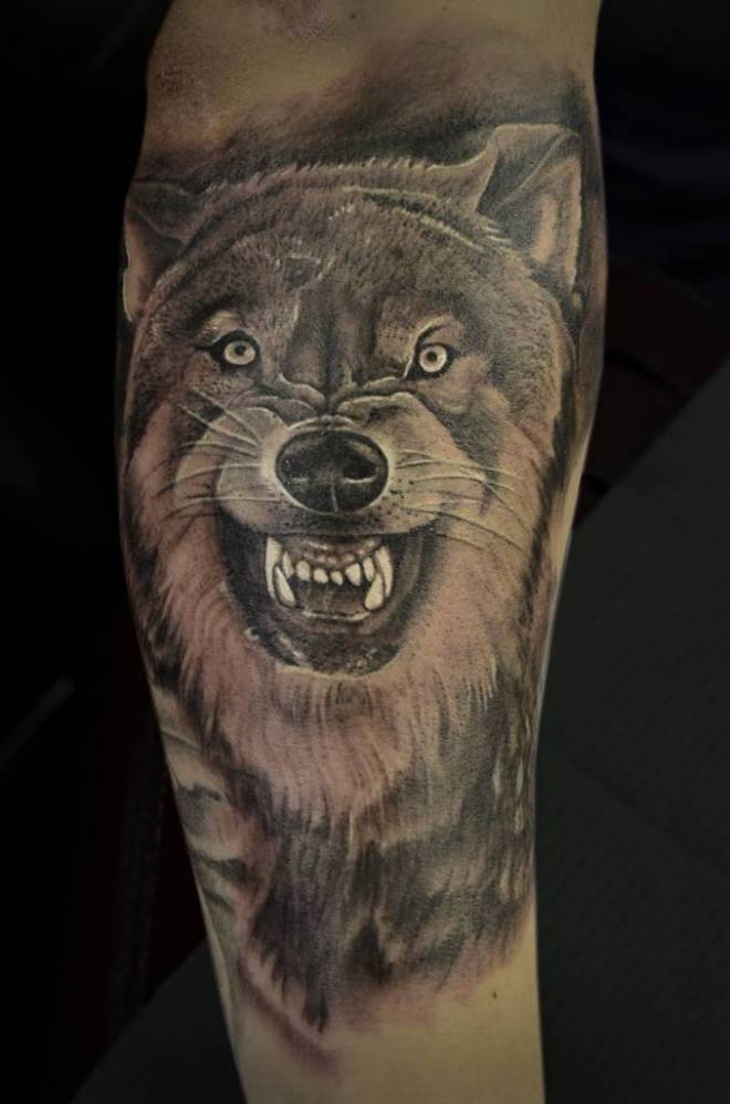  snarling wolf tattoo
