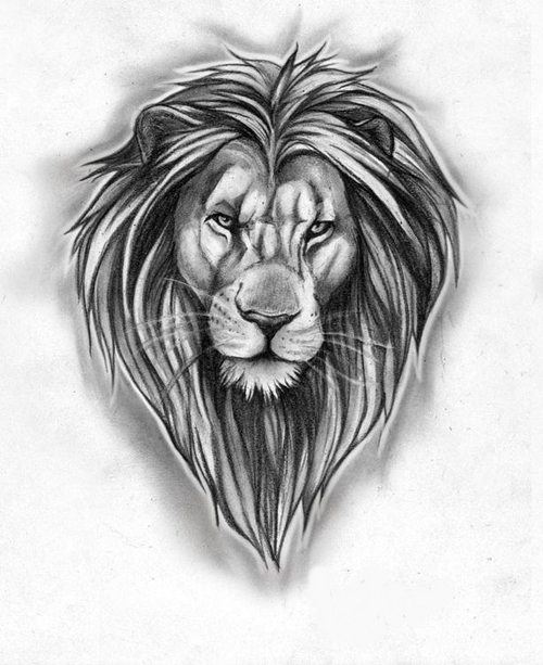  lion tattoo sketch