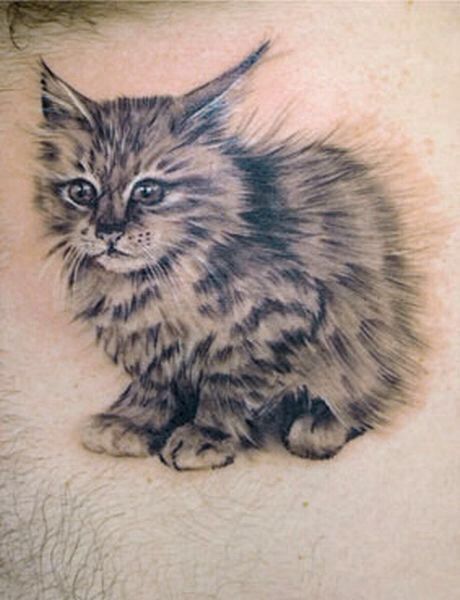  fluffy cat tattoo