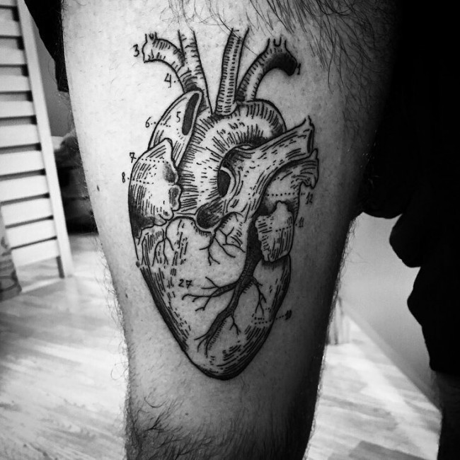  anatomy heart tattoos