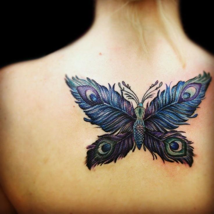  peacock butterfly tattoos