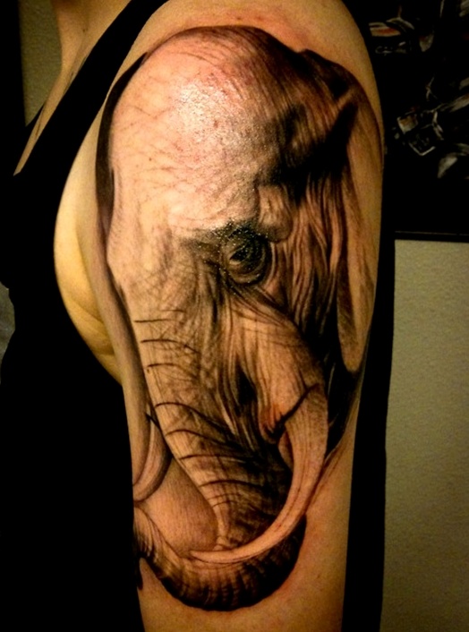 elephant shoulder tattoos
