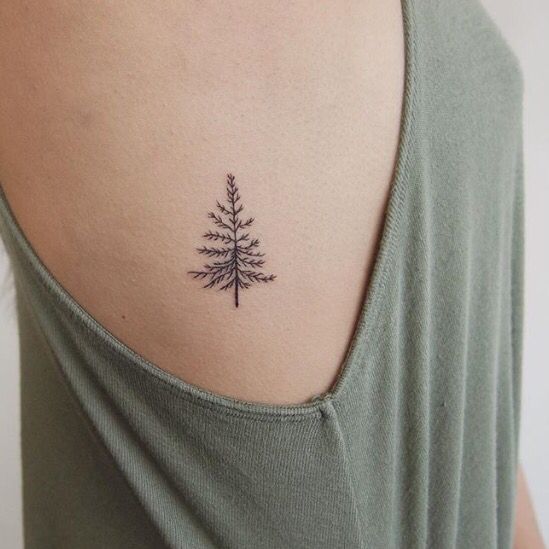  minimalist tree tattoos