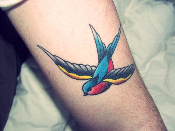  traditional tattoos swallow