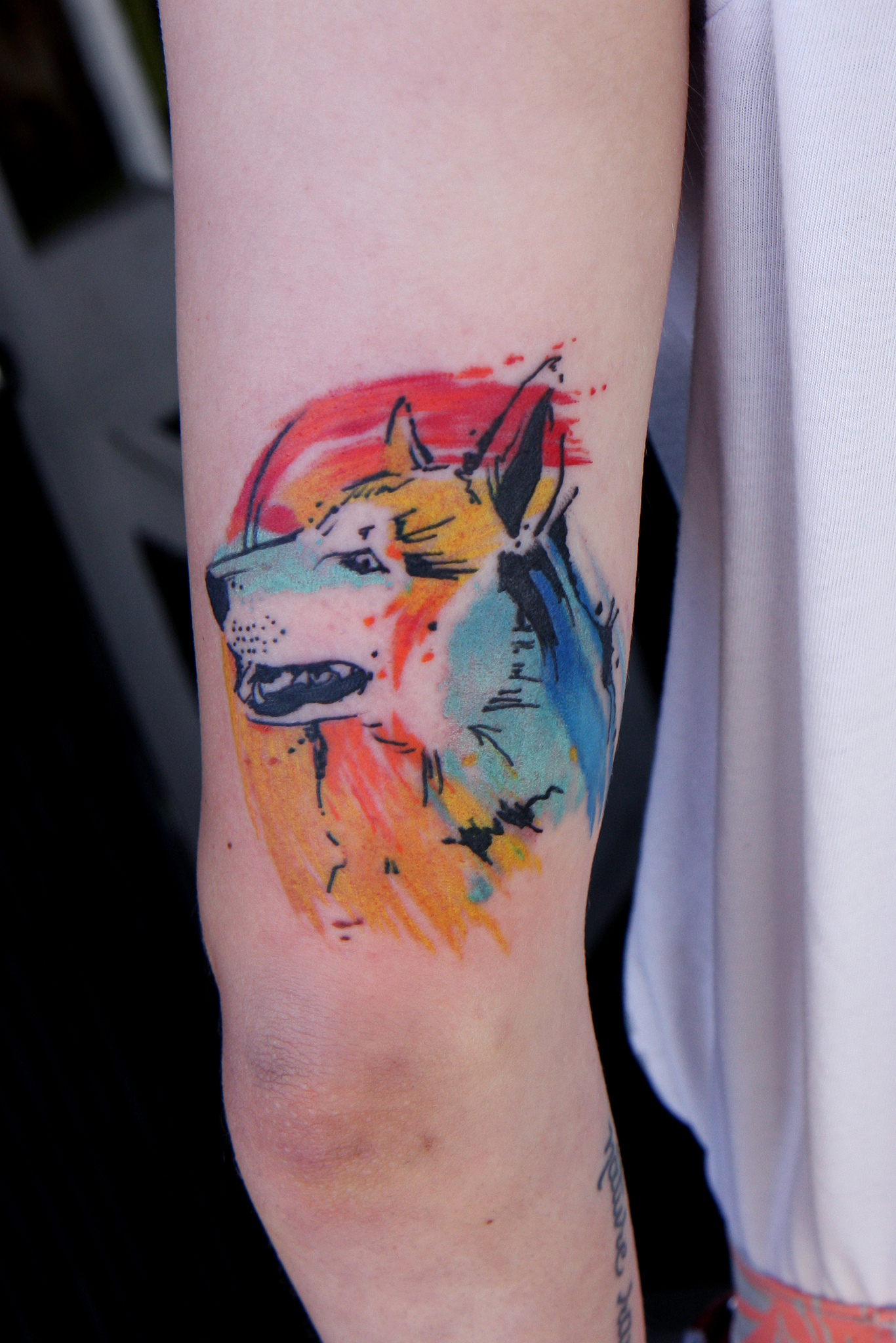  watercolor tattoos dog