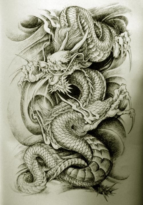  dragon tattoo sketch