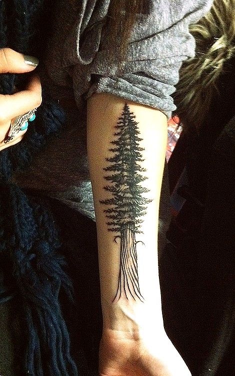 fir tree tattoos
