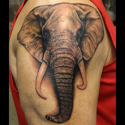  elephant tattoo design