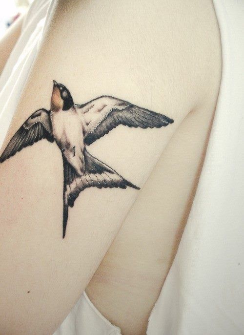 vintage bird tattoos