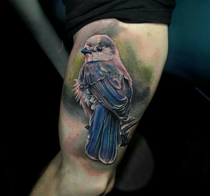 realistic bird tattoos