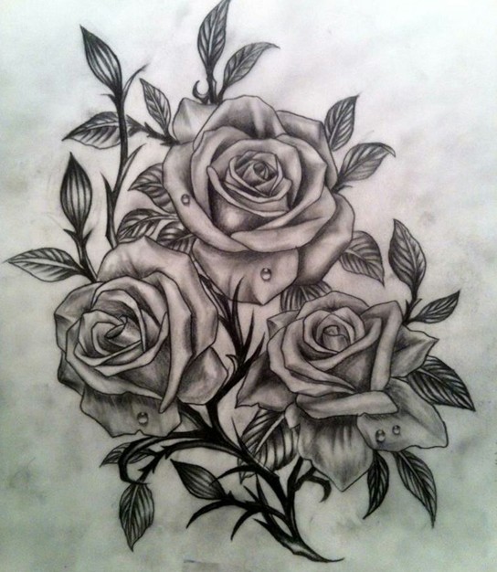  rose tattoo sketch