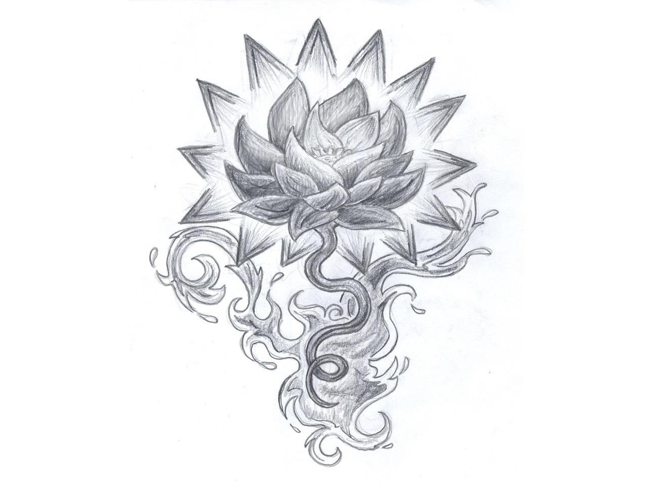  lotus flower tattoo drawing