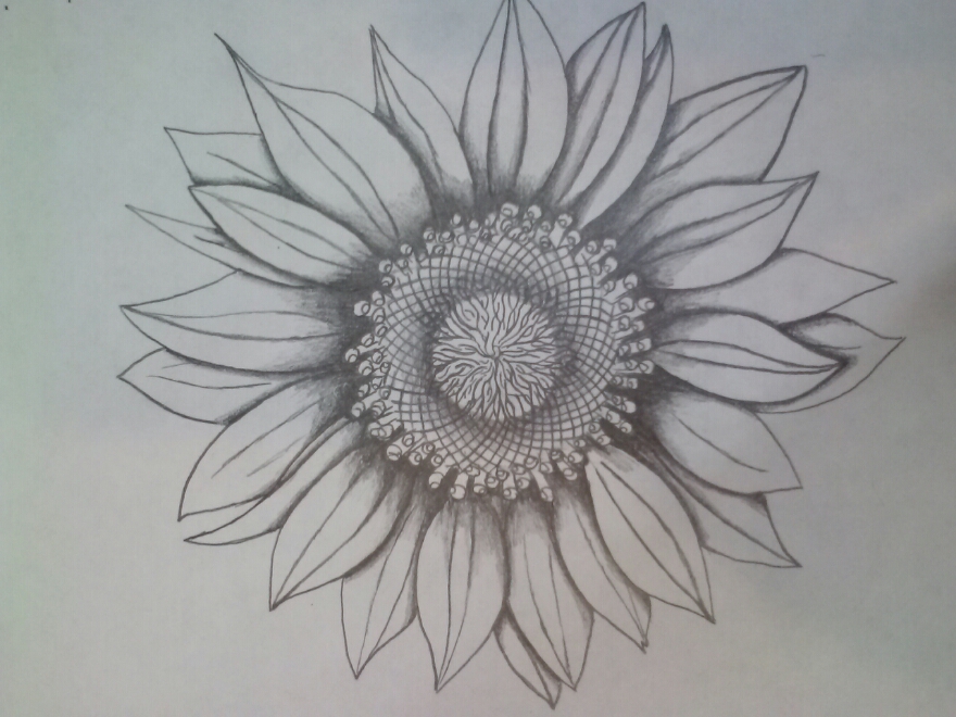  sunflower tattoo sketch