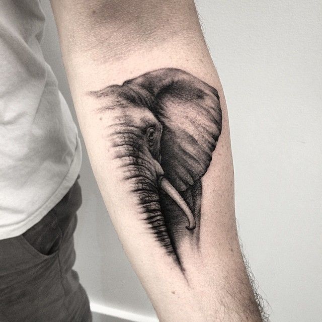  elephant forearm tattoos