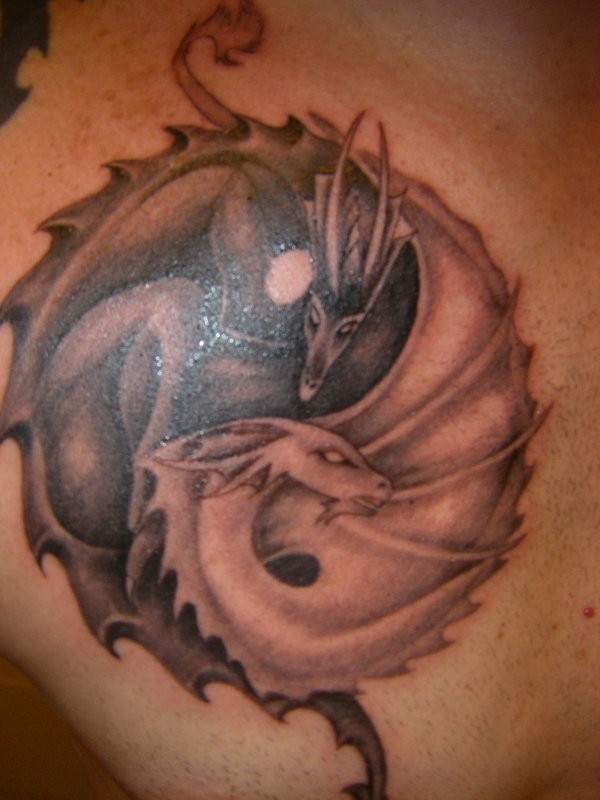 ying yang dragon tattoo