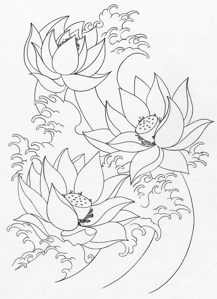  lotus flower tattoo outline