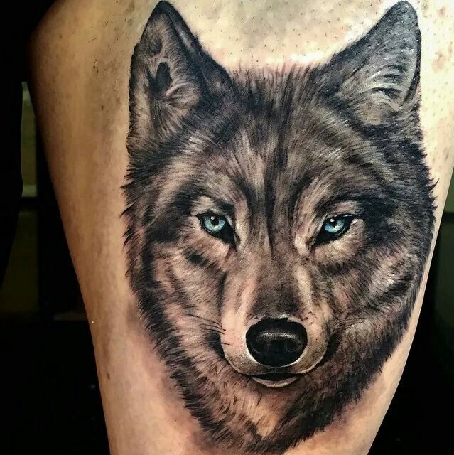  realistic wolf tattoo