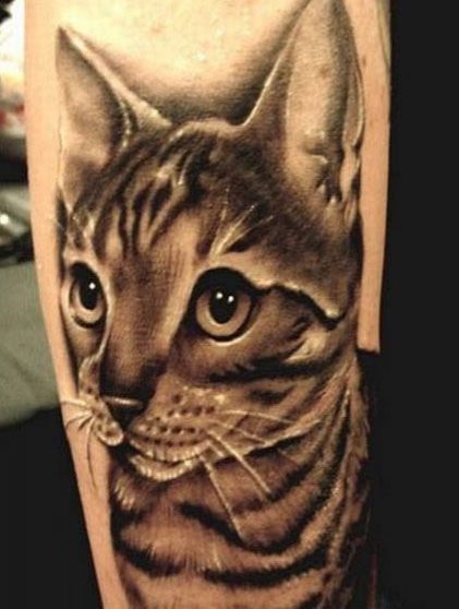  tabby cat tattoo