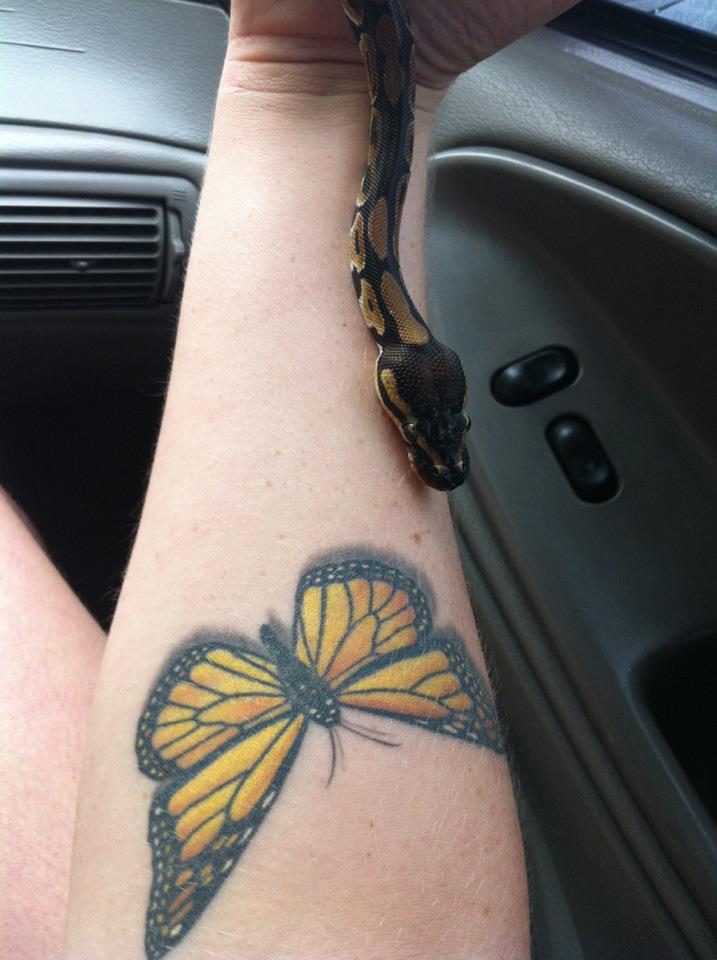  butterfly tattoos forearm