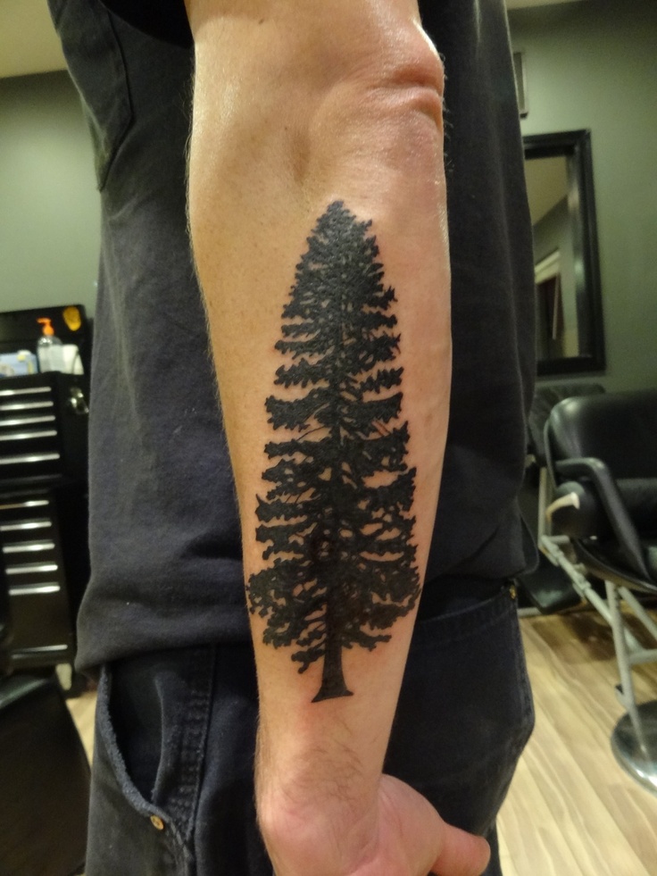  cedar tree tattoos