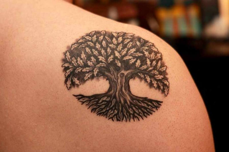  tree tattoos circle