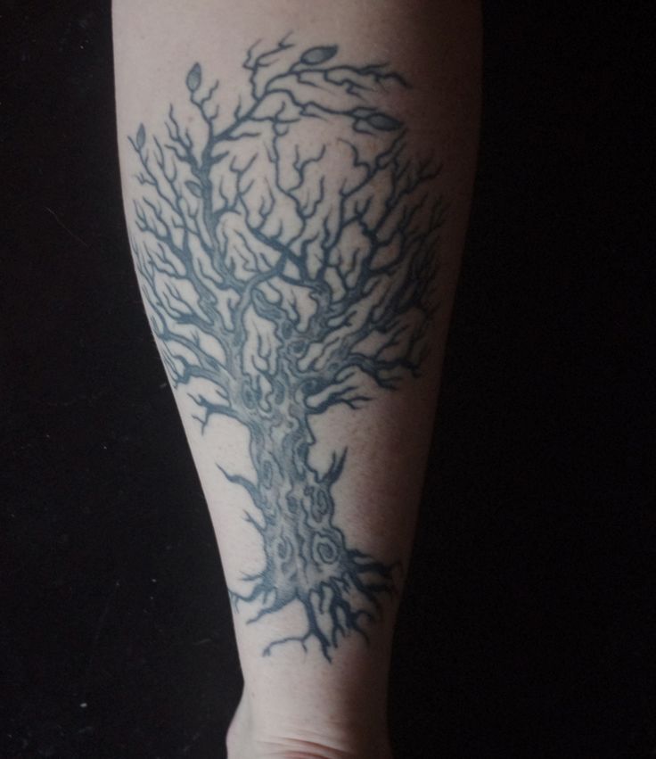 tree tattoos calf