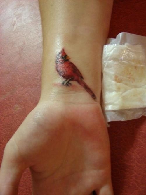  cardinal feather tattoo