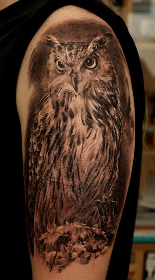  realistic owl tattoo