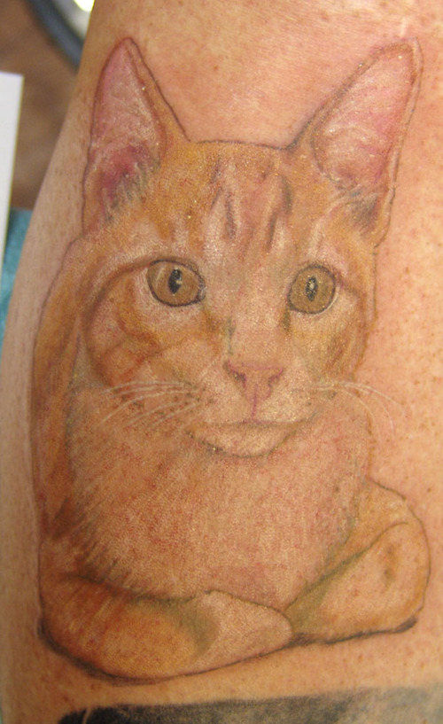  orange cat tattoo