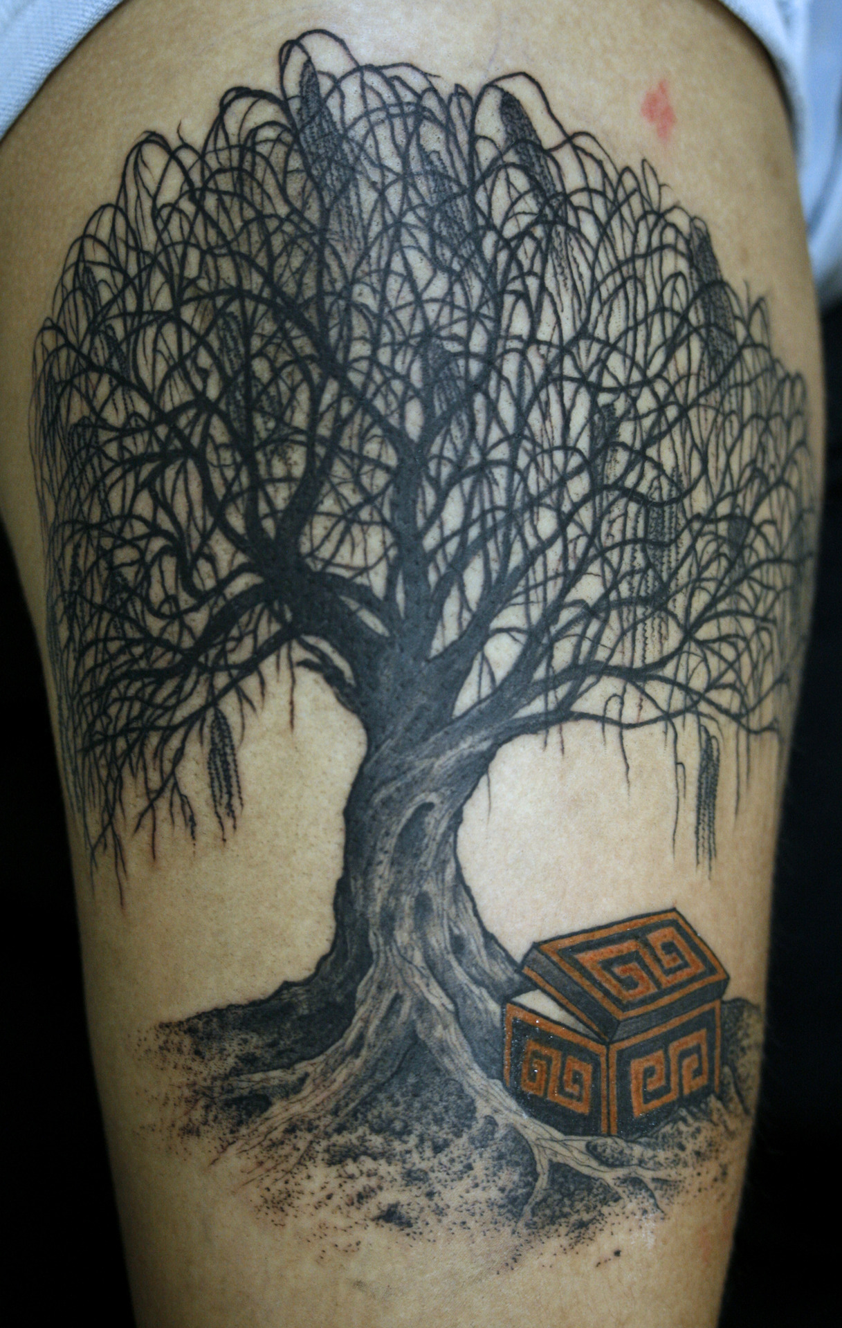  willow tree tattoos